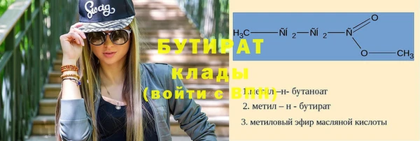 сатива Бородино