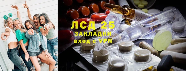 твердый Богданович