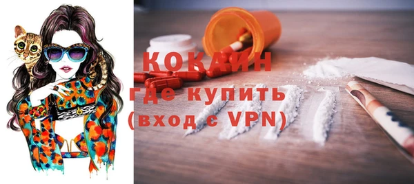 сатива Бородино