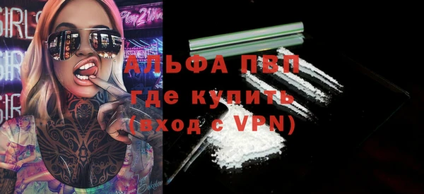 сатива Бородино