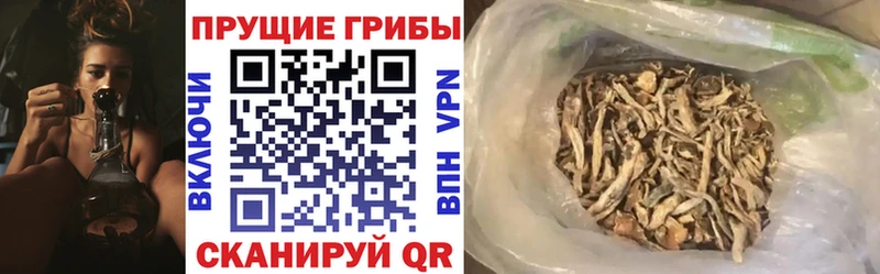 Псилоцибиновые грибы Cubensis мега ONION Высоковск